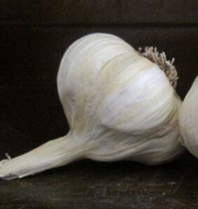 Gourmet Garlic: Silverskins Image